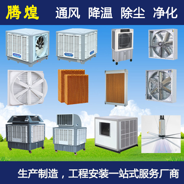降温通风解决方案佛山畜牧养殖猪场