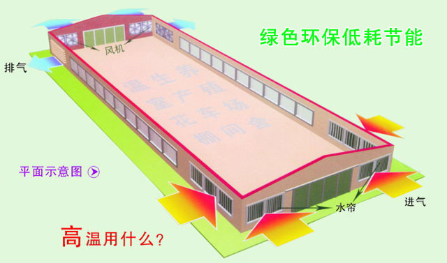 降温换气系统肇庆畜牧养殖猪场