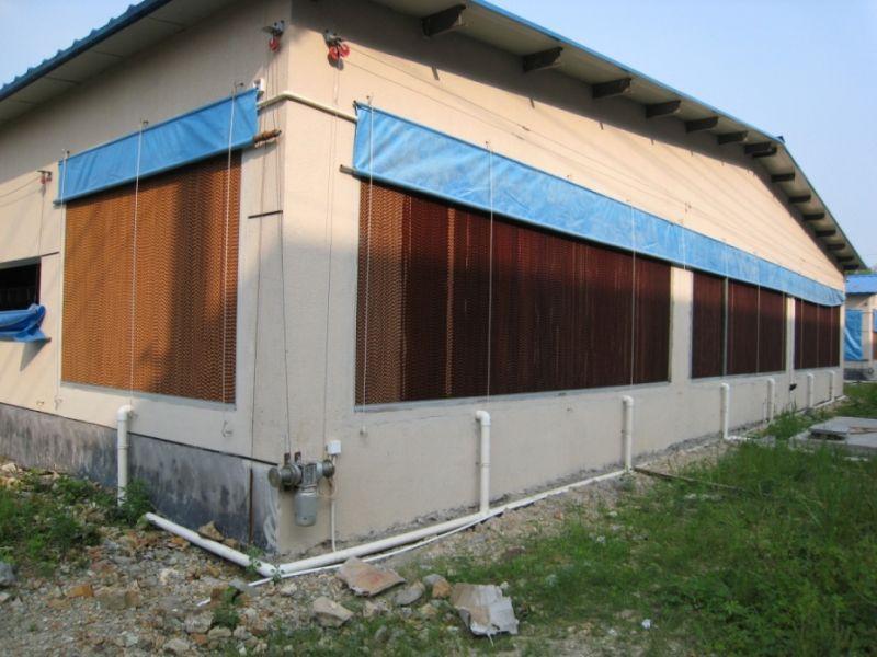 防暑降温解决方案惠州畜牧养殖猪场