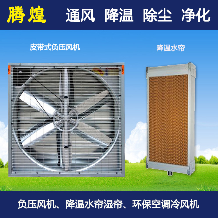 换气通风系统梅州畜牧养殖猪场 通风散热系统梅州畜牧养殖猪场