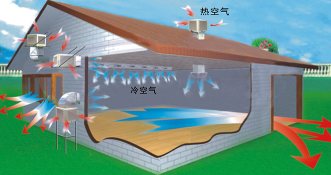 降温换气方法办法梅州畜牧养殖猪场