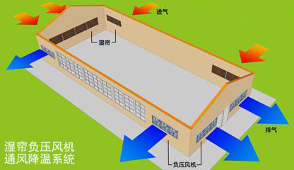 换气通风系统揭阳畜牧养殖猪场 通风散热系统揭阳畜牧养殖猪场